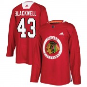 Adidas Chicago Blackhawks 43 Colin Blackwell Authentic Black Red Home Practice Men's NHL Jersey