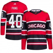 Adidas Chicago Blackhawks 40 Darren Pang Authentic Red Reverse Retro 2.0 Men's NHL Jersey